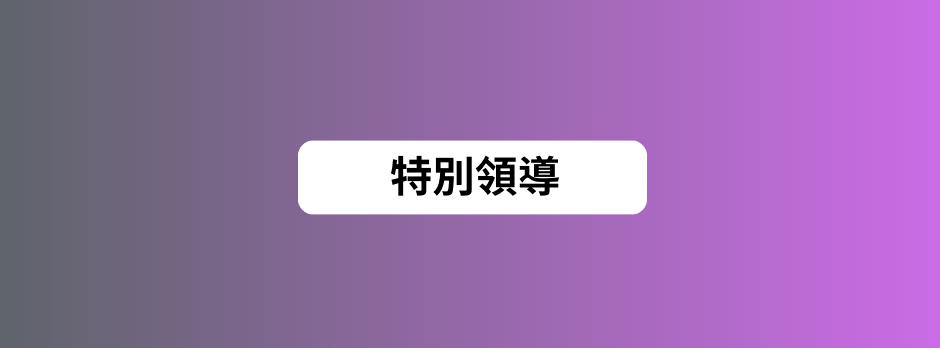 特別領導